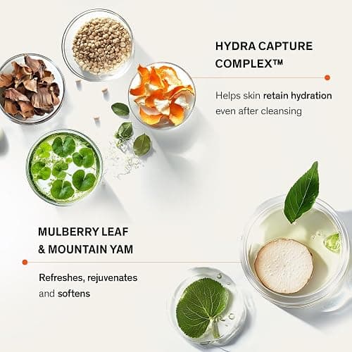Sulwhasoo Gentle Cleansing Foam – Hydrating Daily Gel-to-Foam Facial Cleanser with Korean Herbal Ingredients Removes Makeup, Dirt & Impurities, Softens & Refreshes Skin Korean Skincare Face Wash thumbnail 4