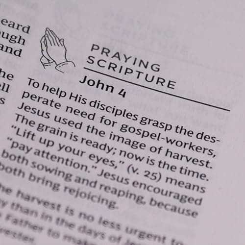 The Prayer Bible: Pray God’s Word Cover to Cover (NKJV, Burgundy Leathersoft, Red Letter, Comfort Print) thumbnail 5