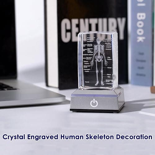 IFOLAINA 3D Human Skeleton Model Anatomy Gifts Crystal Labeled Skeleton Model Medical Figurines Bone Doctor Stuff Named Laser Engraved Gift for Med Biology Students thumbnail 3