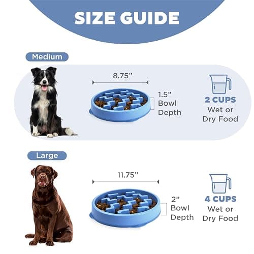 Outward Hound Medium Slow Feeder Bowl, Puzzle Maze for Fast Eaters, Small to Medium Dogs, Helps Prevent Bloat & Aid Digestion, Holds 2 Cups Wet or Dry Food, Non-Slip, Made Without BPA, Blue thumbnail 5