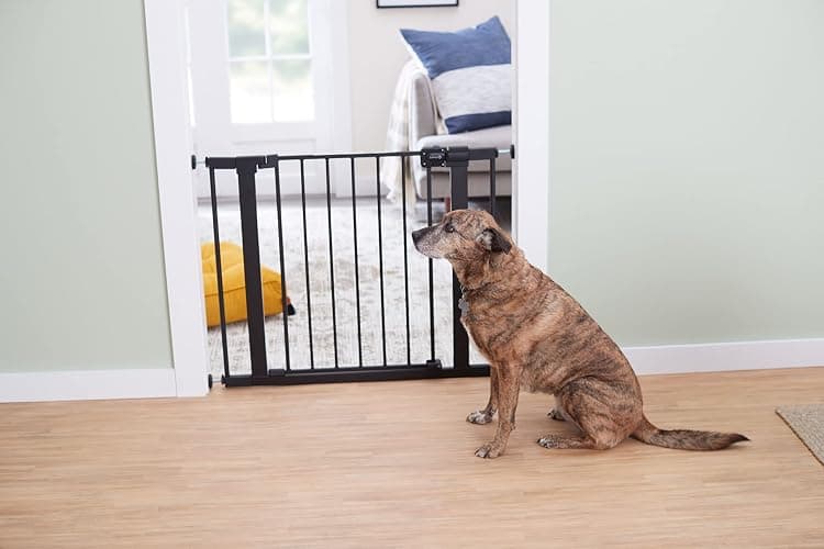Safety 1st Easy Install 28'' Walk Thru Gate, Fits Between 29'' and 38'', Black, 1-Pack,(GA105CBLK) thumbnail 10