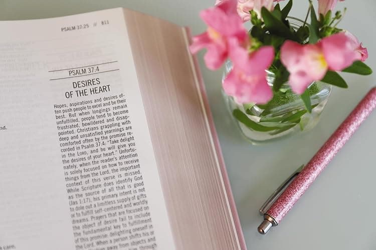 The Jesus Bible, NIV Edition, Leathersoft over Board, Pink, Comfort Print thumbnail 10