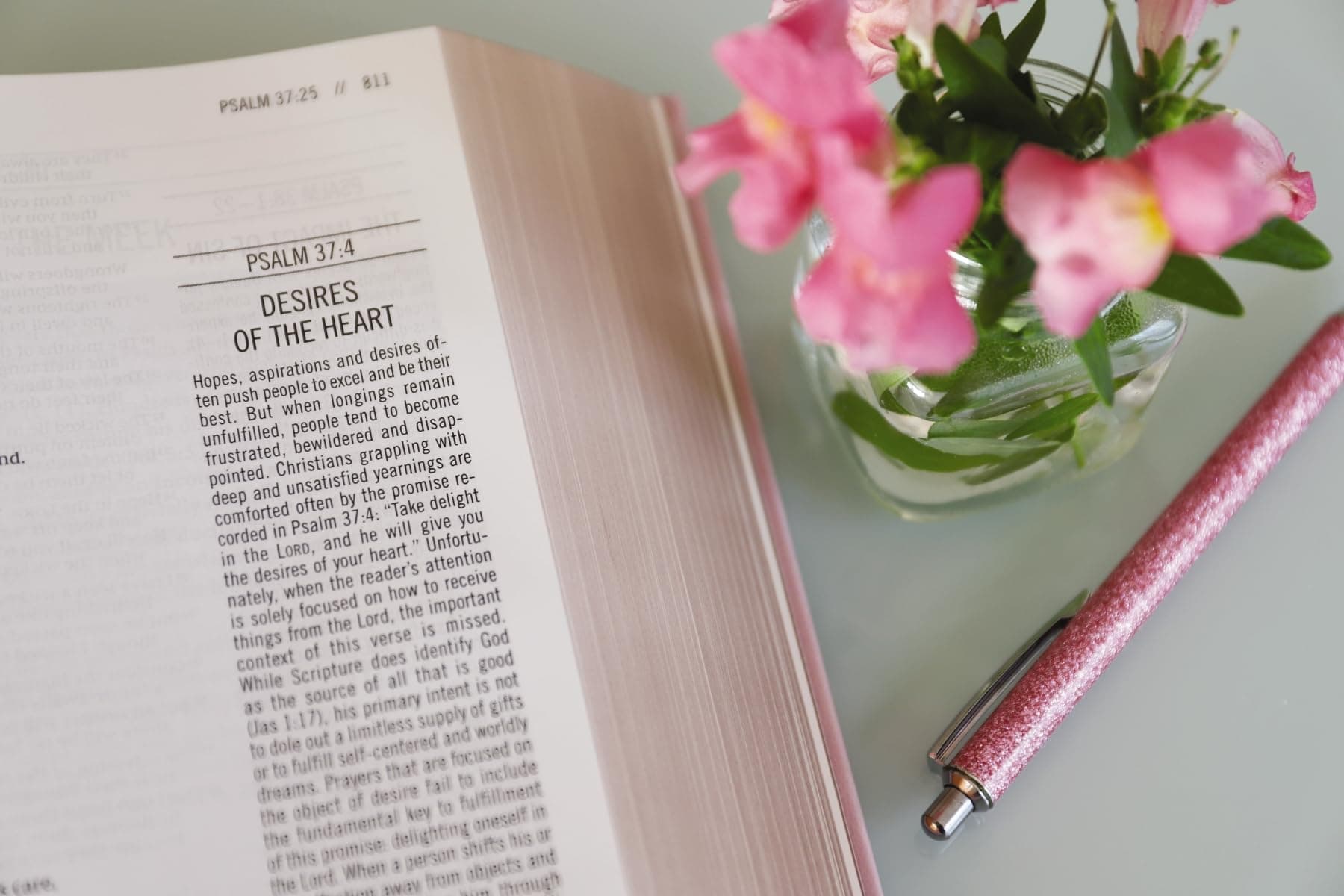 The Jesus Bible [NIV Edition, Pink] thumbnail 10