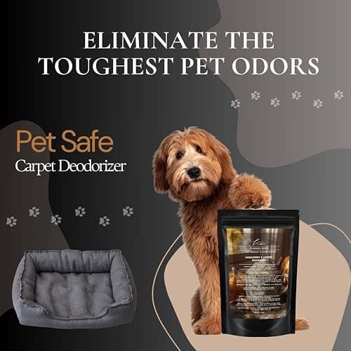 Pumpkin Spice Carpet Freshener Powder 16 oz | Powerful Odor Eliminator for Home | Upholstery Deodorizer | Carpet Deodorizer | Pet Urine | Cat Litter Box thumbnail 6