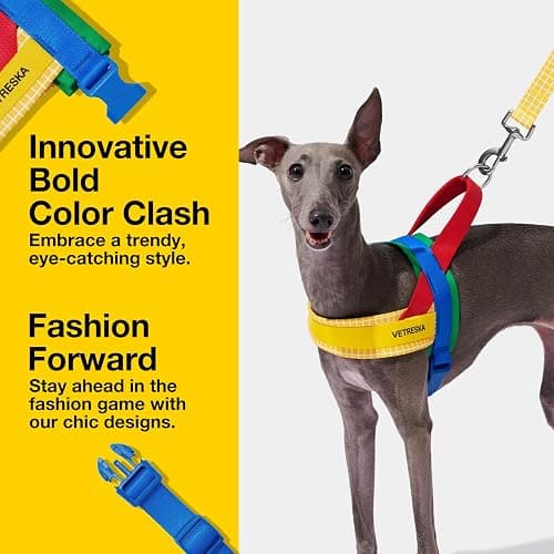 VETRESKA MoMA Dog Harness for Medium Large Dogs, Easy Walk Dog Harness and Leash Set, No Pull Dog Vest Harness for Walking and Training, Adjustable, Take Control & Anti-Twist Pet Lead Combo(Yellow, M) thumbnail 3