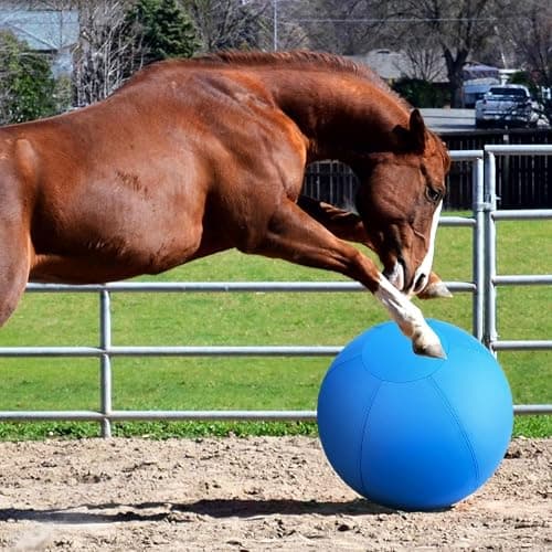 Herding Ball for Dogs and Horses - 18" Jolly Ball for Dogs, Agility Training Equipment, Herding for Australian/German Shepherd, Improved Bite-Resistant, Reinforced Sewing Dog Toys - Blue Medium thumbnail 9