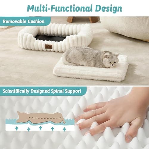 COZY KISS Orthopedic Dog Bed for Small Dogs & Cats - Washable Rectangle Pet Bed with Anti-Slip Bottom, Soft Calming Cat & Puppy Bed for Indoor Pets (25"x21"x6", Cream) thumbnail 3