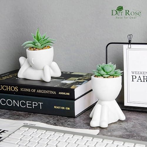 Der Rose 2 Pack Fake Plants in White Pots with Face Decals for Desk Decor | Customizable face stickers, playful sculptural planters,suitable for office desk bathroom shelf bedroom decor thumbnail 4