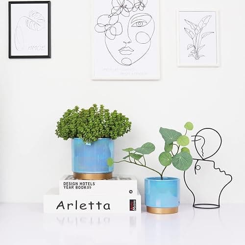 Gepege Ceramic Pots for Plants, Rainbow Pearl Glaze Planter with Drainage Hole, 6.0 inch+5.0 Inch+4.0 Inch. Indoor-Outdoor Large Round Succulent Orchid Flower Pot - 6+5+4inches - Blue thumbnail 5