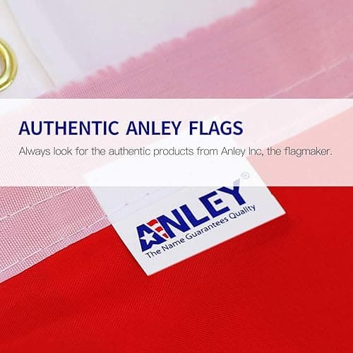 Anley Fly Breeze 3x5 Foot Aroace Pride Flag - Vivid Color and Fade proof - Canvas Header and Double Stitched - Aromantic Asexual LGBT Flags Polyester with Brass Grommets 3 X 5 Ft - Aroace thumbnail 6