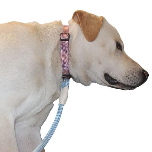 Lucpawz Lobster Snap Pet Leash 5FT, Special Strong Nylon Rope Dog Leash, Solid Color Rope Dog Lead for All Breeds(Blue, 5ft*10mm) thumbnail 9