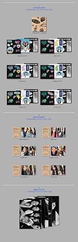 JYP Entertainment NewJeans - NewJeans 1st EP 'New Jeans' Bluebook ver. CD [Cover Random] thumbnail 6