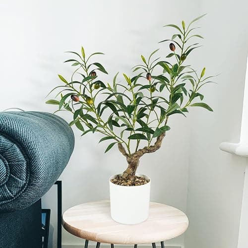 Caxchiling Artificial Olive Tree 2FT, Faux Potted Tree Indoor | Small Olive Tree with Lifelike Leaves and Fruits, Ideal for Tabletop, Desk, Shelf, Office, Kitchen and Living Room Decor thumbnail 2