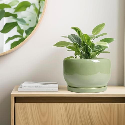 SQOWL Ceramic Planter - 10 Inch Pot for Plants Indoor Outdoor, Round Modern Flower Pot with Drainage Hole and Saucer, Decorative Large Planter, Office Decor, Plant Lovers Gifts, Green - 10 Inch - Glossy Green thumbnail 7