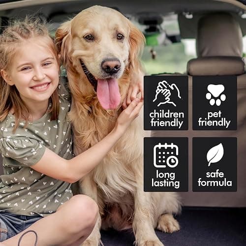 Hanging Car Air Freshener, Teakwood, Leather, Ice, 3 Pack, Essential Oil Car Diffuser, Long Lasting Air Fresheners for Men thumbnail 8