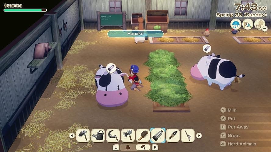 Story of Seasons Grand Bazaar Standard Edition Nintendo Switch 2 thumbnail 2