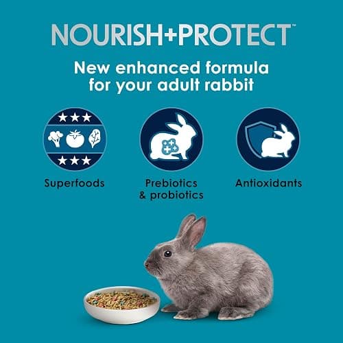 Kaytee Forti-Diet Pro Health Nourish+Protect Adult Rabbit Food, Comprehensive Nutrition Backed by Science, Digestive Health, Immune Support, 5 pounds thumbnail 3
