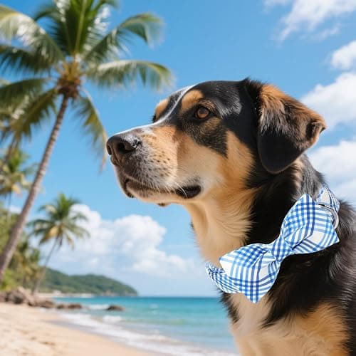 Unique style paws Cotton Dog Collar with Bow Spring Summer Collar with Blue White Grid for Small Medium Large Boys Girls Dogs thumbnail 4