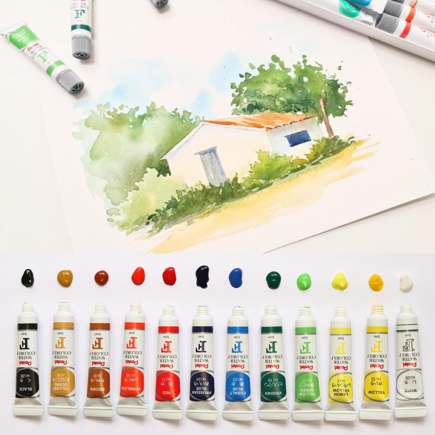 Pentel Tinta Aquarela Wfrs Arts à Base de Água 12 Cores WFRS-12 thumbnail 6
