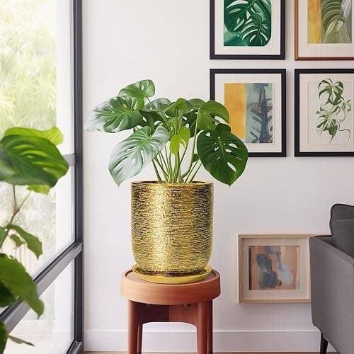 SUNPOTFOR Ceramic Flower Pot for Indoor Plants - 10 Inch Plant Pot with Drainage Hole and Saucer, Decorative Round Outdoor Indoor Planter, Housewarming Gifts, Home Garden Decor, Gold thumbnail 6