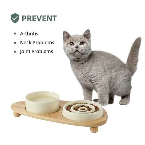 Havniva Ceramic Slow Cat Feeder Set, Raised 6.1-inch Slow Cat Food Dish and 5.1-inch Water Bowl with Wooden Stand, Circle Shape. (2 x Bowl with Stand - Beige, 6inch) thumbnail 4