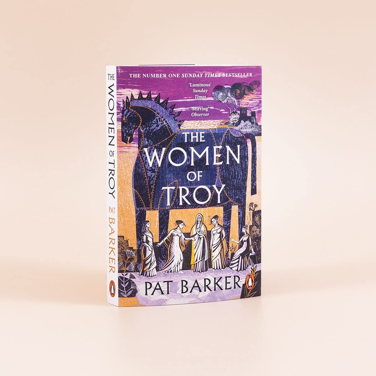 The Women of Troy: The Sunday Times Number One Bestseller thumbnail 9