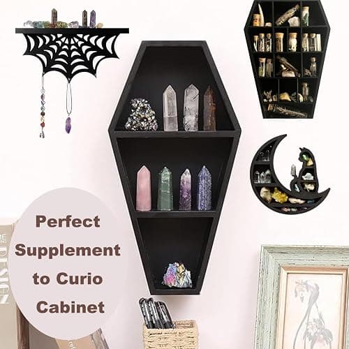 10Pcs Mystery Natural Oddities Collection Box - Real Fossils, Crystals & Taxidermy in Glass Vials | Dark Academia Decor for Adults & Kids | Witchy Curio Cabinet Decor | Unique Gifts for Science Lovers thumbnail 6