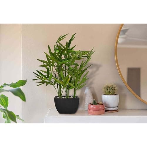 Westcharm 18 inch Faux Bamboo Plant - Lush Artificial Bamboo in Black Polyresin Pot with Decorative River Stones for Home Office Kitchen Living Room Countertop Mantel thumbnail 4