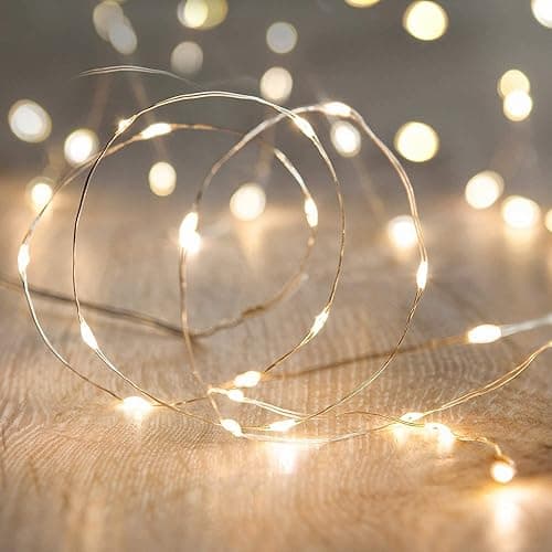 ANJAYLIA LED Fairy String Lights, 10Ft/3M 30leds Firefly String Lights Garden Home Party Wedding Festival Decorations Crafting Battery Operated Lights, Warm White