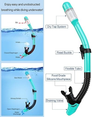 Ubekezele Snorkeling Gear for Adults Men Women,4 in 1 Snorkel Set with Panoramic View Diving Mask Anti-Fog Anti-Leak,Dry Top Snorkel,Fins and Travel Bag for Swimming,Snorkeling and Travel Diving thumbnail 3