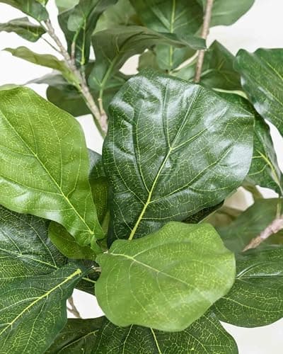 LuceAlberi Artificial Fiddle Leaf Fig Tree 6FT - Large Fake Tree with White Planter&Basket, Tall Faux Ficus Lyrata Tree Floor Plants for Indoor Home Decor Office Living Room Housewarming Gift, 1Pack thumbnail 4