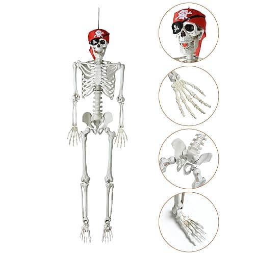 ZeHuoGe Halloween Prop 5.4 Ft. Posable Full Body Skeleton Life Size ABS Plastic Imitate The Ratio of Human Bones 1: 1 Haunted Houses Indoor Outdoor Props (5 Ft Full Body Skeleton) - Image 1