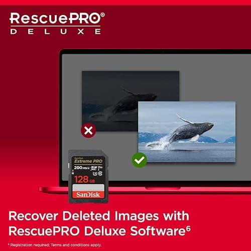 SanDisk 128GB Extreme PRO SDXC card, SD Card, V30 Memory Card, 4K UHD, up to 200 MB/s, SanDisk QuickFlow Technology, RescuePro Deluxe Data Recovery Software, UHS-I, Class 10, U3, V30 - UHS-I V30 - 128GB thumbnail 6