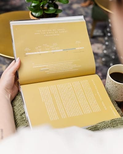 The Bible Handbook: A Book-by-Book Guide to the Entire Bible thumbnail 8