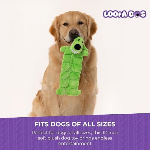 Multipet Original Loofa Dog Plush Toy Mat - Squeaky Toys for All Dogs - Extra Soft Plush - Stuffed Animal Dog Toys for Playing (1 Count, 12”, Random Color Surprise) thumbnail 7