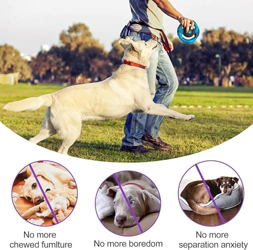 Pamlulu Chew Toys for Medium Large Breed, Tough Dog Toys for Aggressive Chewers, Indestructible Dog Toys to Keep Them Busy, Outdoor Puppy Toys,Birthday thumbnail 4