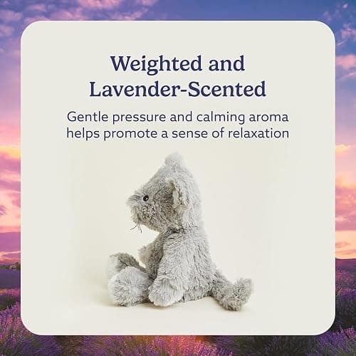 warmies Microwavable & Weighted Stuffed Animals, Mouse - Heated Stuffed Animal Plushie for Warmth & Comfort - Cute Soft Plush Toys for Adults & Children (Boys, Girls, Babies & Toddlers) thumbnail 3