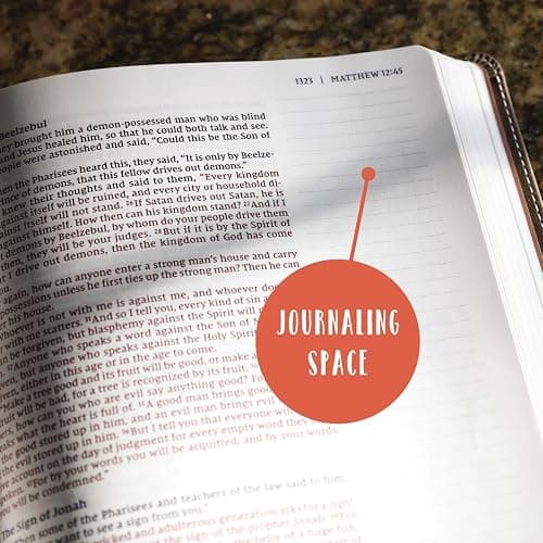 NIV, Beautiful Word Bible, Updated Edition, Journal Edition for Women, 600+ Full-Color Illustrated Verses, Peel/Stick Bible Tabs, Floral Cloth over Board, Red Letter, Comfort Print thumbnail 5