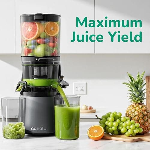 Canoly C16 Cold Press Juicer, with a 6" Wide Chute & Self-Precut, 3-in-1 Strainers (Juice & Sorbet & Nut Milk), BPA-Free Construction, Powered by a AC Brushless Motor (Space Gray) thumbnail 5