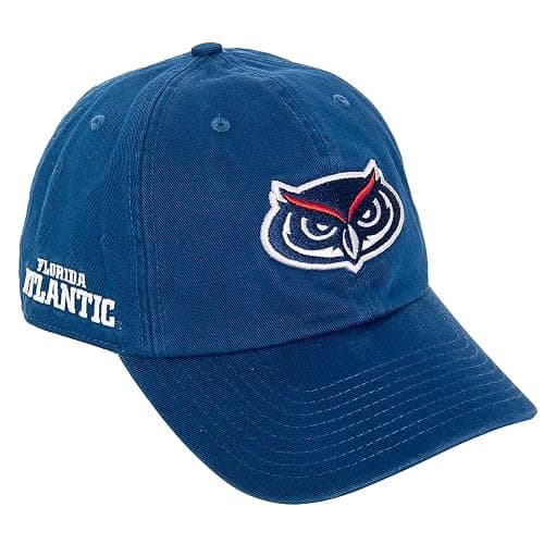 Desert Cactus Florida Atlantic University Baseball Hat FAU Owls Brimmed Embroidered Hats Cap Adjustable Cloth Strap Adult (Style C) Blue - Image 1