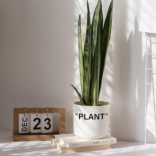 TwoDays Off-White Inspired Sneaker Planter, Hypebeast Room Decor, Small 5 Inch Cylinder White Plastic Indoor Plant Pot with Built in Drainage Hole, Mini Flower Pot, Sneakerhead Gift. thumbnail 6