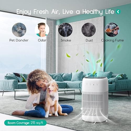Afloia Air Purifier & Dehumidifier thumbnail 6