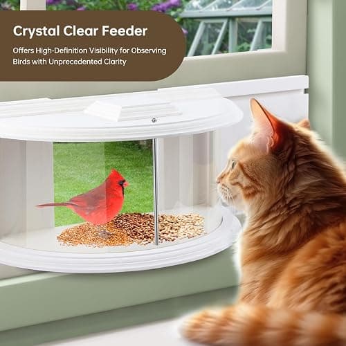JOYSEUS Window Bird Feeder, 180° Clear View Bird Feeder, Durable and Elegant in-Window Bird Feeder for Watching Birds - Embrace The Delight of Bird Feeder. thumbnail 8