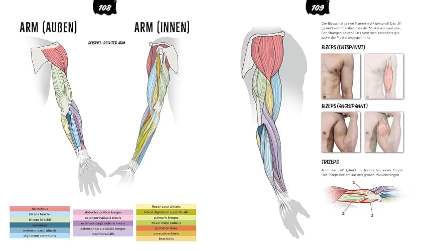 Anatomie zeichnen like a Sir: Das einzig wahre Zeichenbuch für Körper und Posen | Dein umfassendes Nachschlagewerk mit zahlreichen Übungen und Vorlagen! thumbnail 10