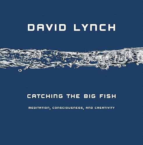Catching the Big Fish: Meditation, Consciousness, and Creativity - Image 1