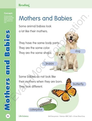 Evan-Moor Skill Sharpeners Science Workbook, Grade 1, Physical, Life, and Earth Science, Songs, Activities, Space, Animals and Eggs, Plants, Habitats, Recycling, Weather, Technology, Homeschool thumbnail 3