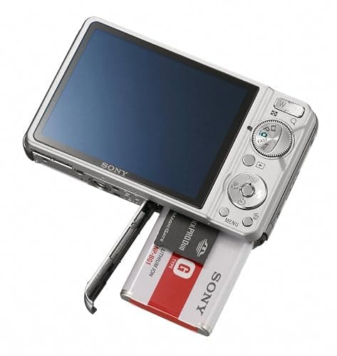 Sony Cyber-shot DSC-W290 12.1 MP Digital Camera with 5x Optical Zoom and Super Steady Shot Image Stabilization (Silver) thumbnail 9