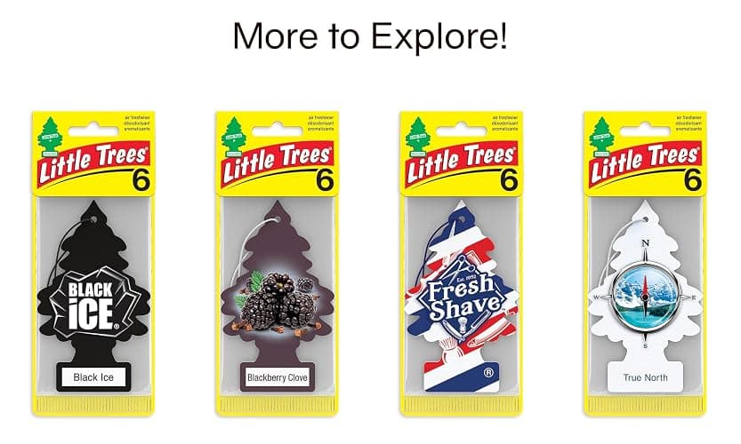 LITTLE TREES Car Air Freshener | Hanging Tree Provides Long Lasting Scent for Auto and Home | Leather, 24 Air Fresheners thumbnail 7