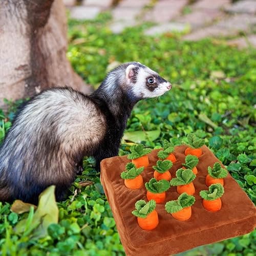 PUMEXFE Ferret Foraging Toys Novelty Carrot Snuffle Mat Interactive Pet Treat Enrichment Toys for Small Animals Bunny Rabbit Chinchilla Guinea Pig Hamster (12Carrot) thumbnail 7