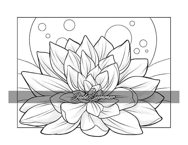 Minimalist Art: Adult Coloring Book for Women and Teens with Easy Boho Designs for Stress Relief and Relaxation (Easy Coloring Books) thumbnail 37